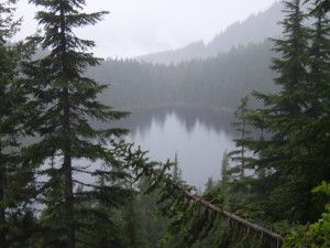 P7040002