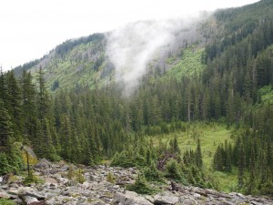 P7050258