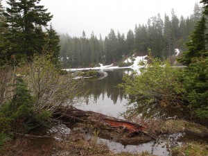 P7050261
